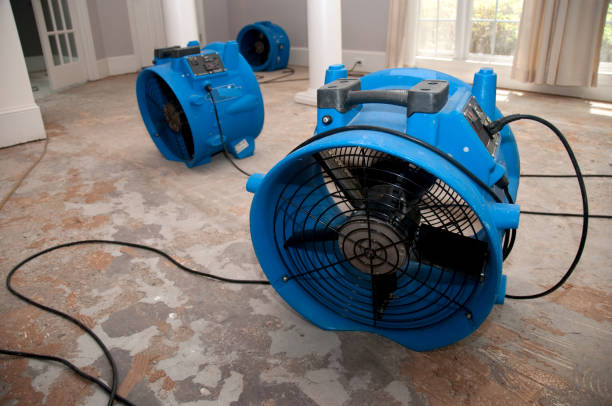 Best Dehumidification and Moisture Control in USA